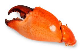 Crab Claw